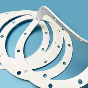 Expanded PTFE Gasket