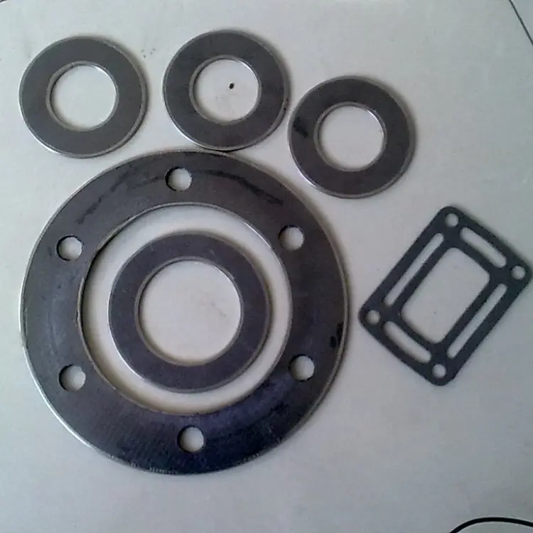 Graphite Gasket With Eyelets - Image 4