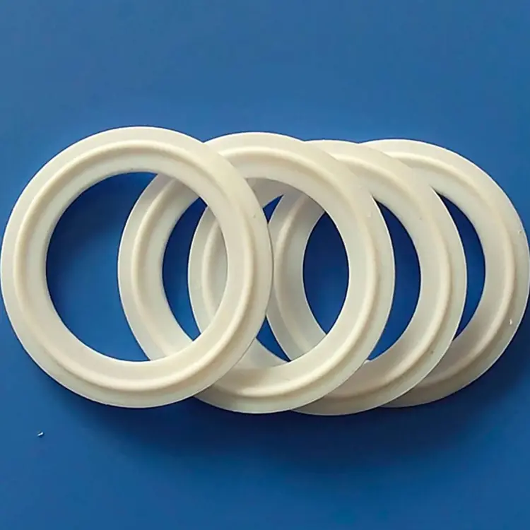 PTFE Gasket
