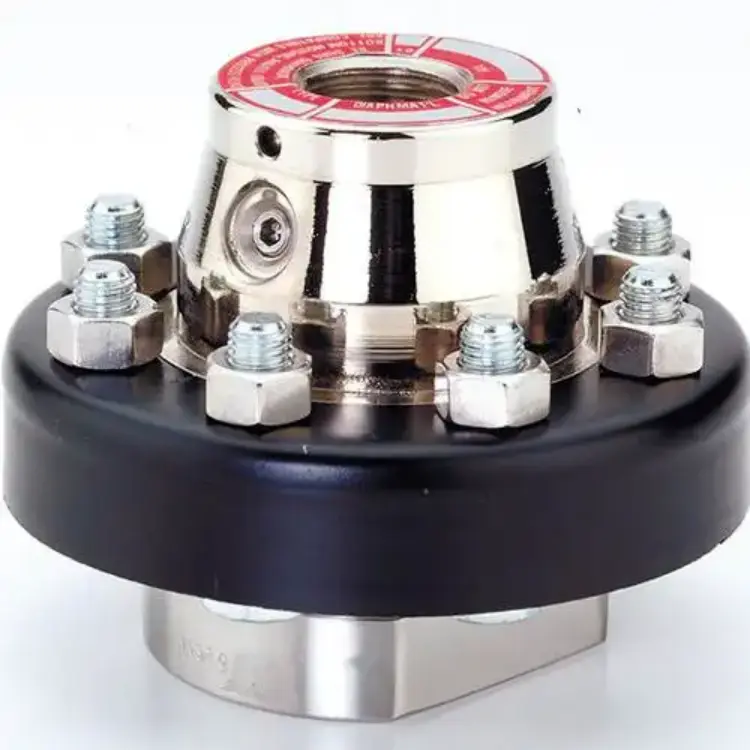 Diaphragm Seals For Pressure Gauges - Image 2