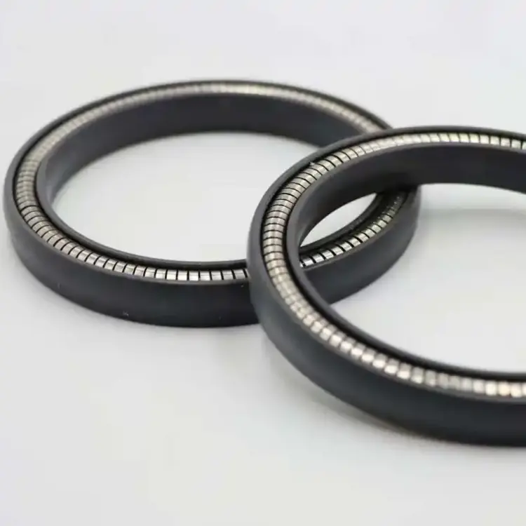 Spring Energized Seals