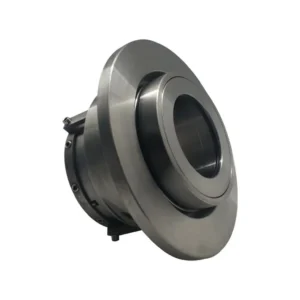 Tandem Seals