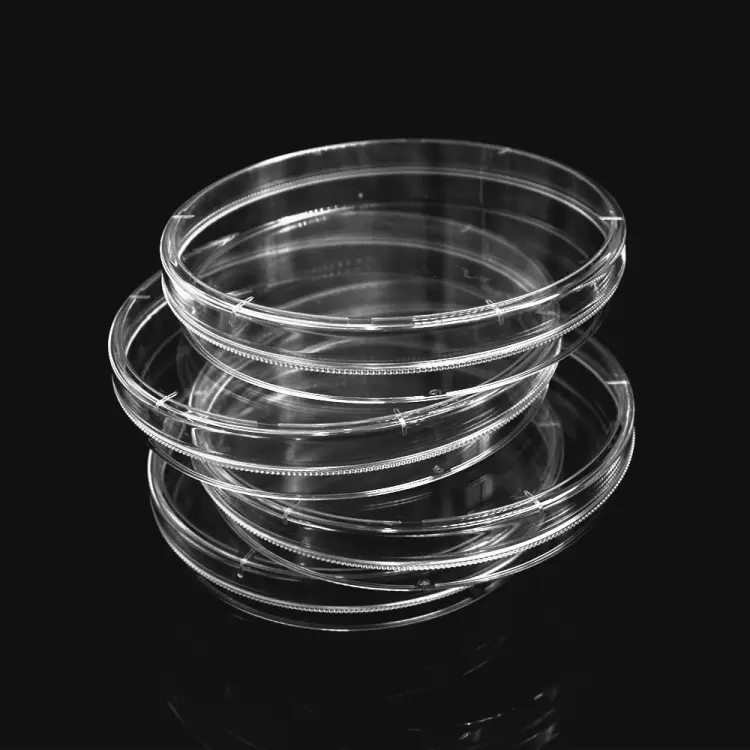 Quartz Petri Dishes - Image 4