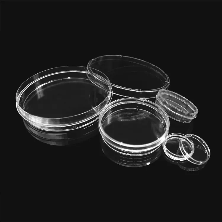 Quartz Petri Dishes - Image 3