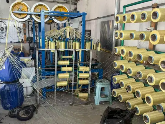 Carbon Fiber Packing Manufacturing Facility