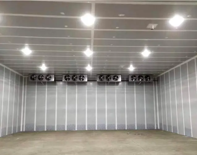 FRP Panels for Cold Storage Wall Linings